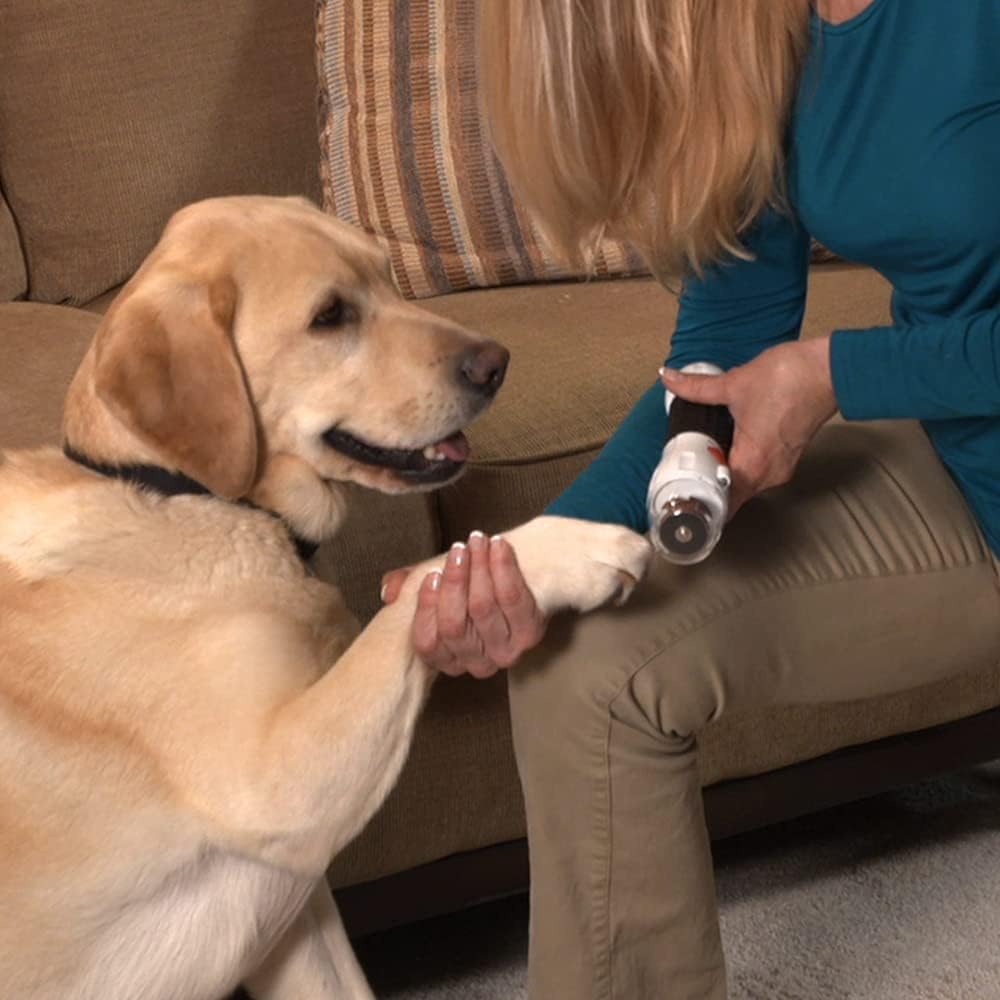 Lima para Mascota Paw Perfect-Lima sus uñas con seguridad