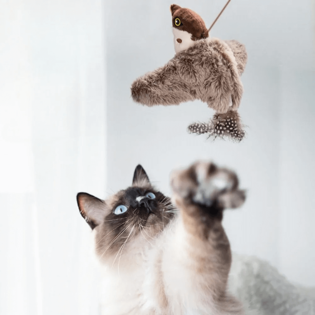 Peluche ave Interactivo eléctrico para gatos